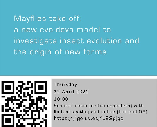 Mayflies take off: a new evo-devo model to investigate insect evolution and the origin of new forms
